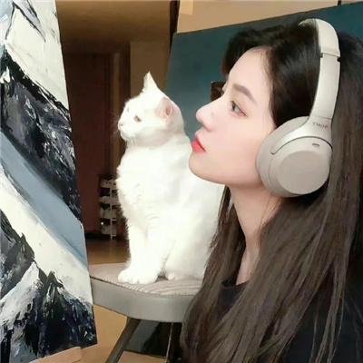 狂兽粤语